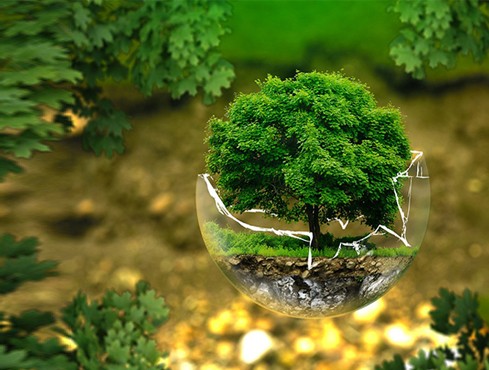 ISO 14001 Zertifizierung